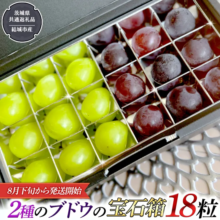 2種類 の ブドウ の 宝石箱 18粒 【2026年8月下旬から発送開始】 （茨城県共通返礼品 [ぶどう]：結城市産） 田舎の頑固おやじが厳選！ 巨峰 ピオーネ マスカット ぶどう フルーツ 果物 [BI329-NT]