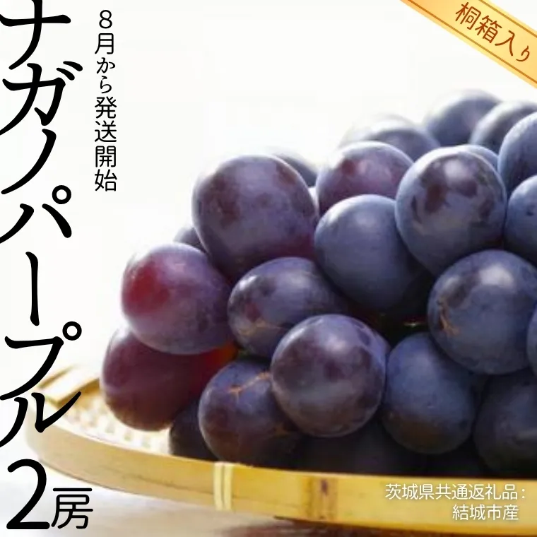 【 桐箱入り 】 ナガノパープル 2房 【2025年8月から発送開始】（茨城県共通返礼品 [ぶどう]：結城市産） 果物 フルーツ マスカット ぶどう ギフト 贈答 プレゼント 桐箱 [BI339-NT]