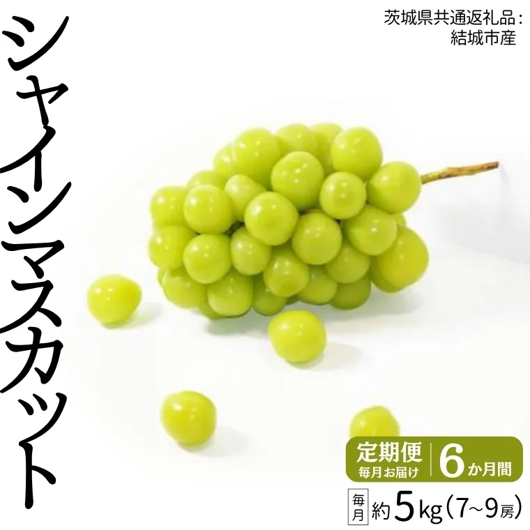 【定期便】 シャインマスカット 7～9房(約5kg) × ６か月連続お届け！ 【2025年8月から発送開始】 （茨城県共通返礼品 [ぶどう]：結城市産）  定期便 毎月 シャインマスカット マスカット ぶどう ブドウ フルーツ 果物 [BI364-NT]