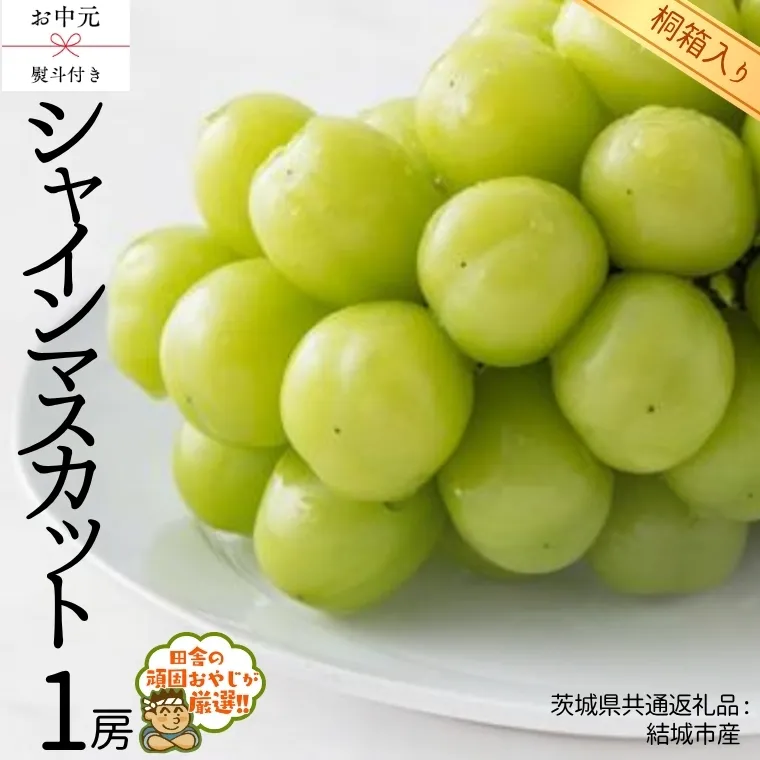 【 お中元 熨斗 付 】【 桐箱入り 】シャインマスカット1房  【2025年8月より発送開始】（茨城県共通返礼品 [ぶどう]：結城市産） シャインマスカット ぶどう 果物 フルーツ 季節 旬 [BI403-NT]