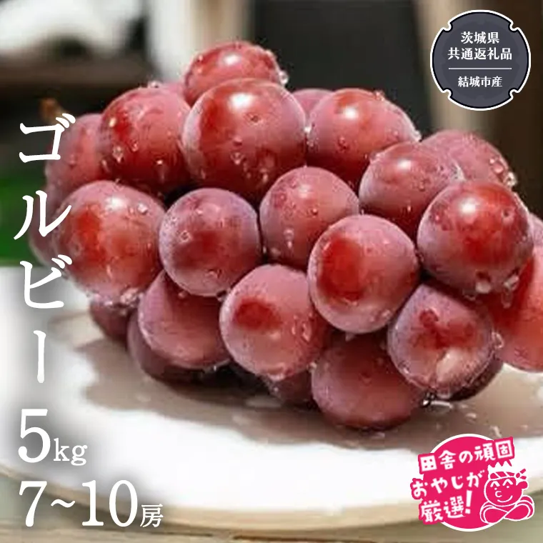 ゴルビー 5kg (7～10房) 【2026年9月より発送開始】（茨城県共通返礼品 [ぶどう]：結城市産） ぶどう ブドウ 葡萄 果物 フルーツ 茨城県産 [BI422-NT]