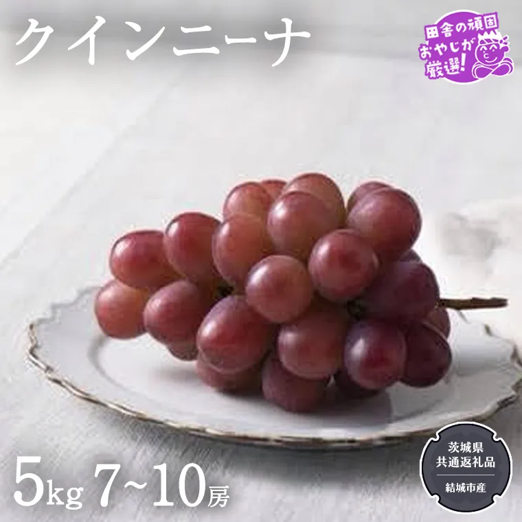 クインニーナ 5kg（7〜10房）【2025年9月より発送開始】（茨城県共通返礼品 [ぶどう]：結城市産） ぶどう ブドウ 葡萄 果物 フルーツ 茨城県産 [BI424-NT]