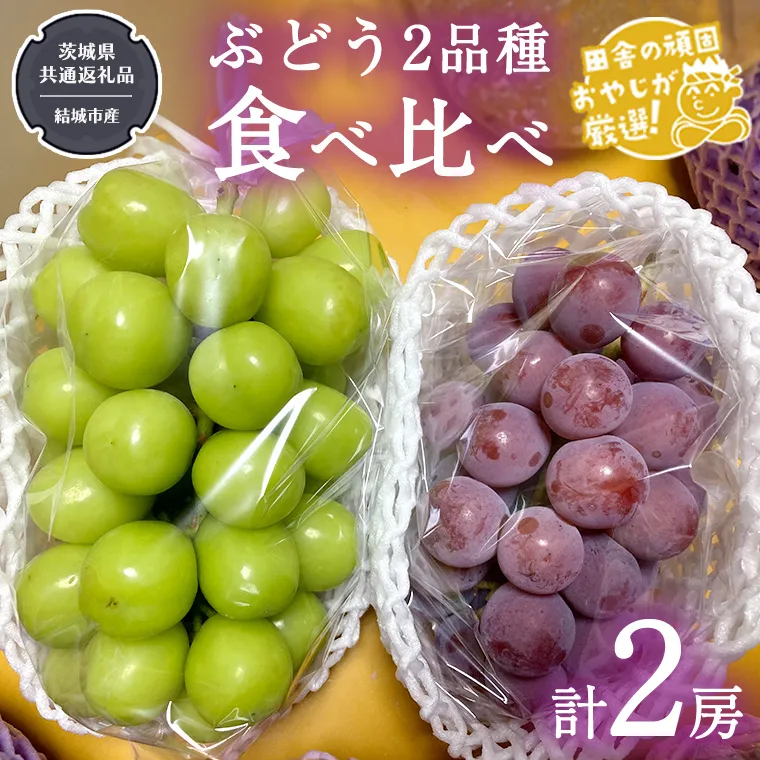 ぶどう 2品種 食べ比べ（各１房ずつ）【2025年8月より発送開始】（茨城県共通返礼品 [ぶどう]：結城市産）  詰め合わせ 果物 フルーツ 茨城県産 [BI450-NT]