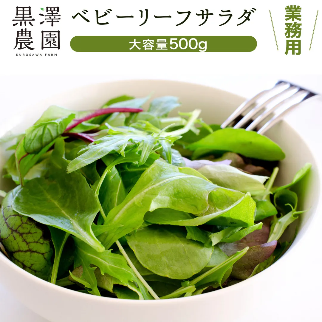 【 業務用 】 黒澤農園 の ベビーリーフサラダ 500g 大容量タイプ 業者向け ベビーリーフ サラダ 生野菜 食べやすい 若葉 ファミリー 旬 新鮮 国産 彩り パーティー 大量 お得パック [DS06-NT]