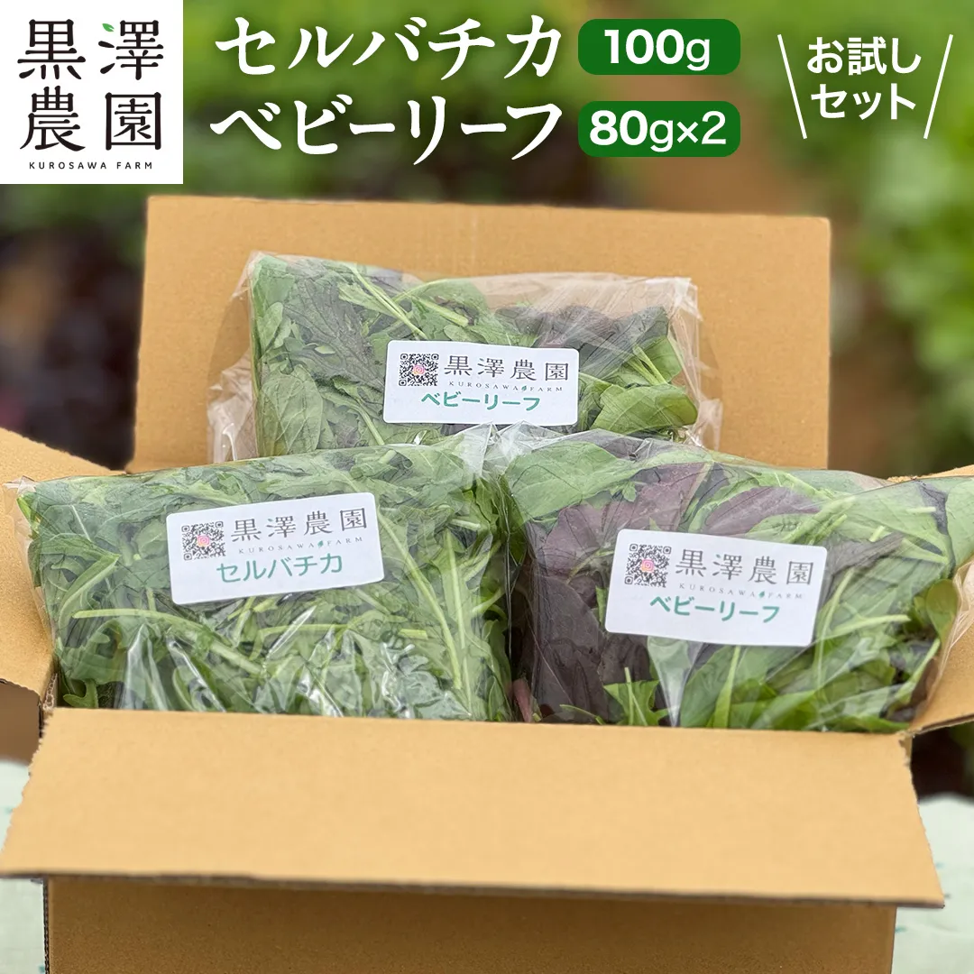 セルバチカ (ワイルドルッコラ) 100g と ベビーリーフ (80g × 2パック) の 黒澤農園 お試しセット ベビーリーフサラダ 生野菜 食べやすい 若葉 ファミリー 旬 新鮮 国産 彩り サラダ さらだ ルッコラ ハーブ 新鮮 国産 辛い セルバチコ ベビーリーフ イタリア野菜 イタリア料理 イタリアン パスタ 高級 トッピング 大容量 たっぷり 味見 [DS07-NT]