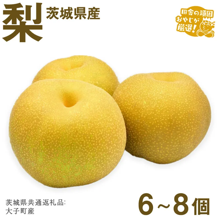 梨 6〜8個【2026年12月より発送開始】（茨城県共通返礼品 [梨]：大子町産）田舎の頑固おやじが厳選！  梨 高糖度 ギフト 甘い スイーツ デザート フルーツ 美味しい [BI299-NT]