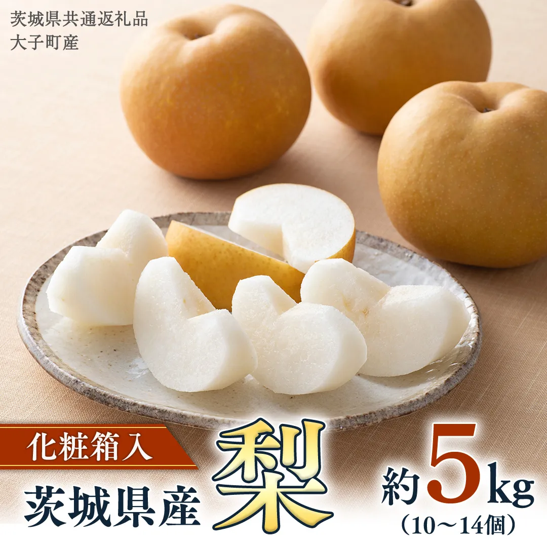 【化粧箱入り】梨 5kg（10〜14個）【2026年8月より発送開始】（茨城県共通返礼品 [梨]：大子町産） なし ナシ 果物 フルーツ 茨城県産 [BI466-NT]