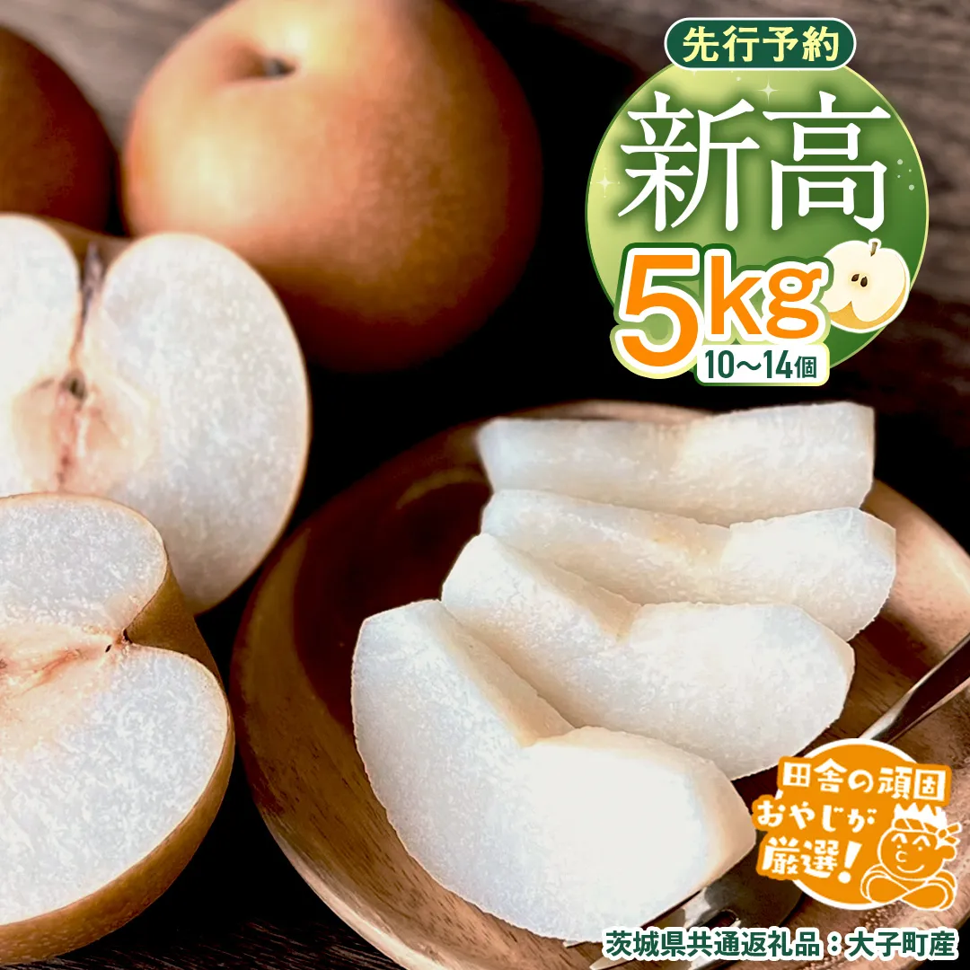 梨 新高 5kg（10〜14個）【2025年10月より発送開始】（茨城県共通返礼品 [梨]：大子町産）田舎の頑固おやじが厳選！ なし 新高梨 和梨 フルーツ 果物 くだもの 高糖度 ギフト 茨城 [BI306-NT]
