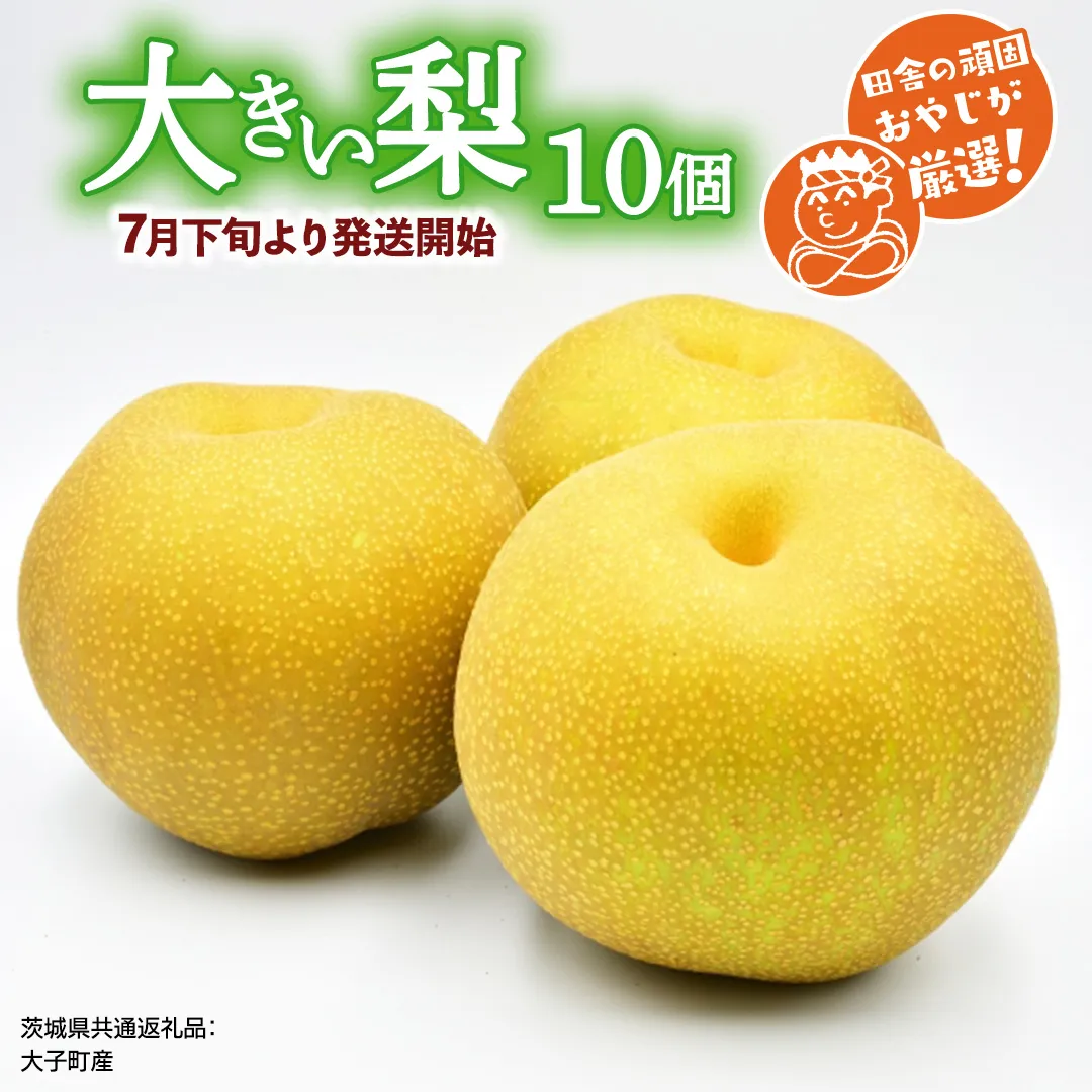 大きい 梨 10個【2025年7月下旬より発送開始】（茨城県共通返礼品 [梨]：大子町産）田舎の頑固おやじが厳選！ [BI134-NT]