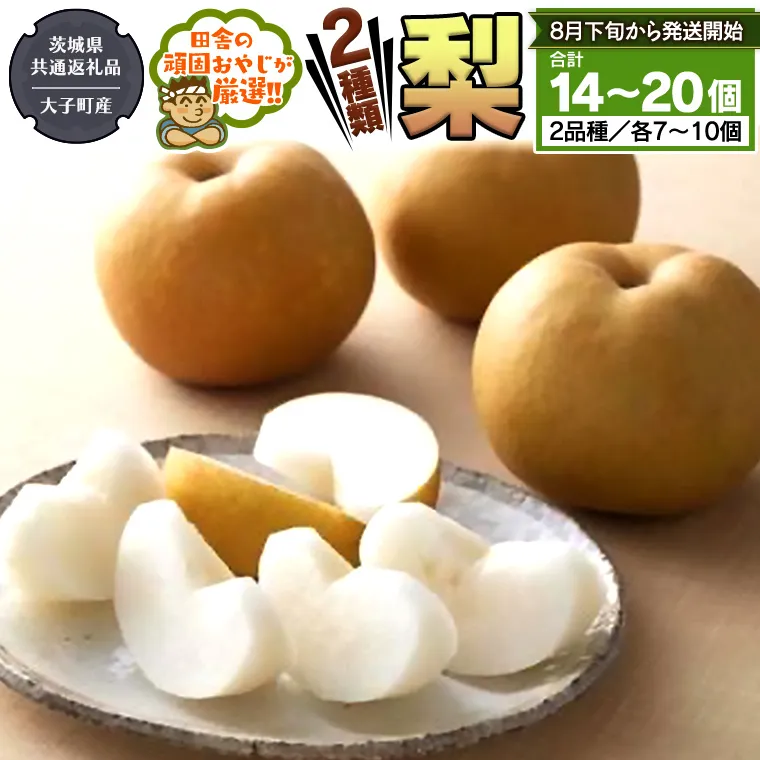 梨 2種 セット [2025年8月下旬より発送開始] (茨城県共通返礼品 [梨]:大子町産) 田舎の頑固おやじが厳選!