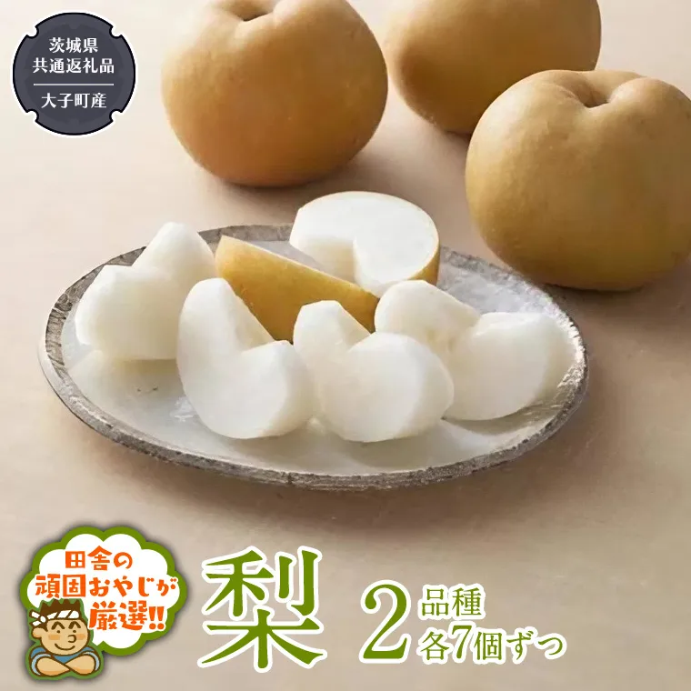 梨 2品種 各7個ずつ【2025年8月より発送開始】（茨城県共通返礼品 [梨]：大子町産）田舎の頑固おやじが厳選！  なし ナシ 果物 フルーツ 茨城県産 [BI453-NT]