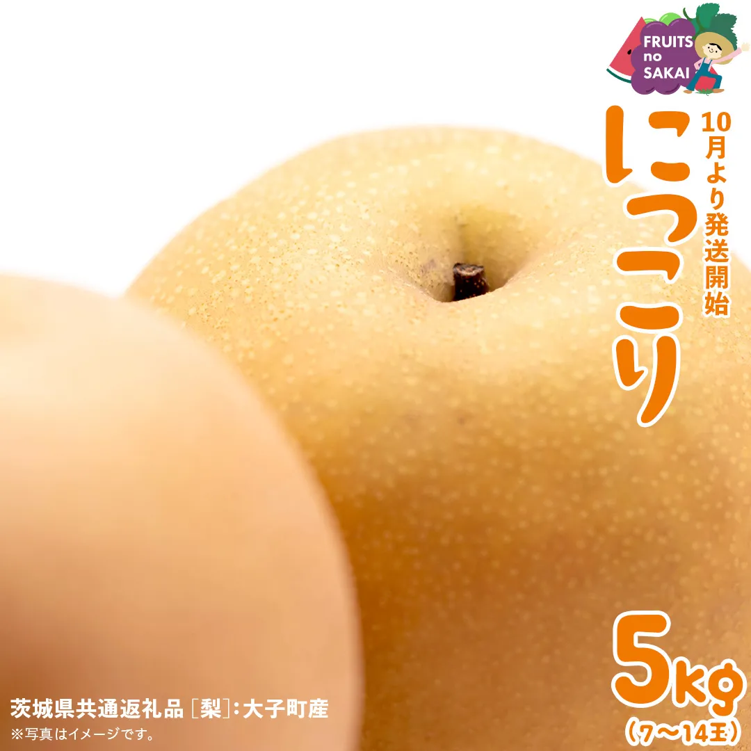 にっこり 梨 5kg （7～10玉）【2025年10月より発送開始】（茨城県共通返礼品 [梨]：大子町産） なし 旬 お取り寄せ フルーツ 甘い ジューシー 和梨 時期 [FC09-NT]