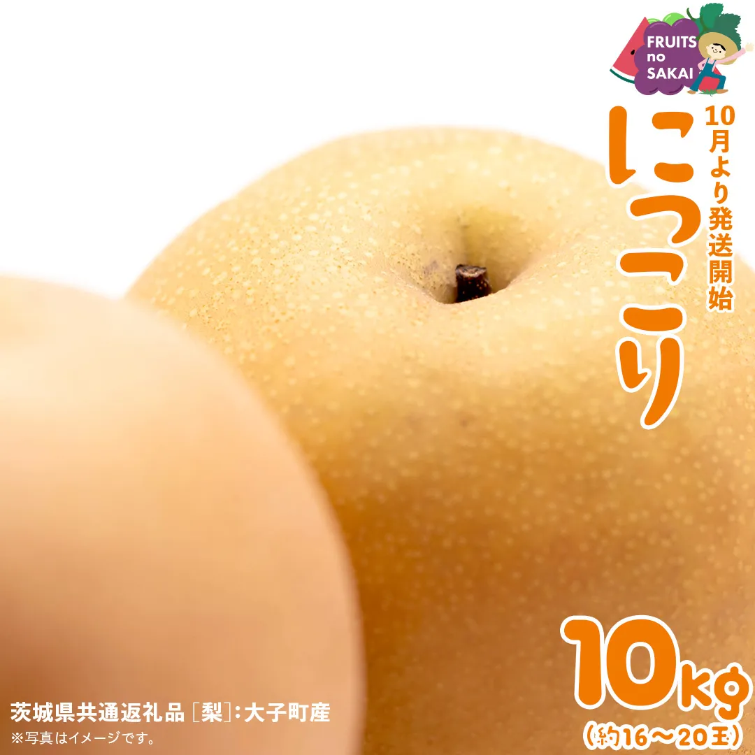 にっこり 梨 10kg （16～20玉）【2025年10月より発送開始】（茨城県共通返礼品 [梨]：大子町産） なし 旬 お取り寄せ フルーツ 甘い ジューシー 和梨 時期 [FC10-NT]