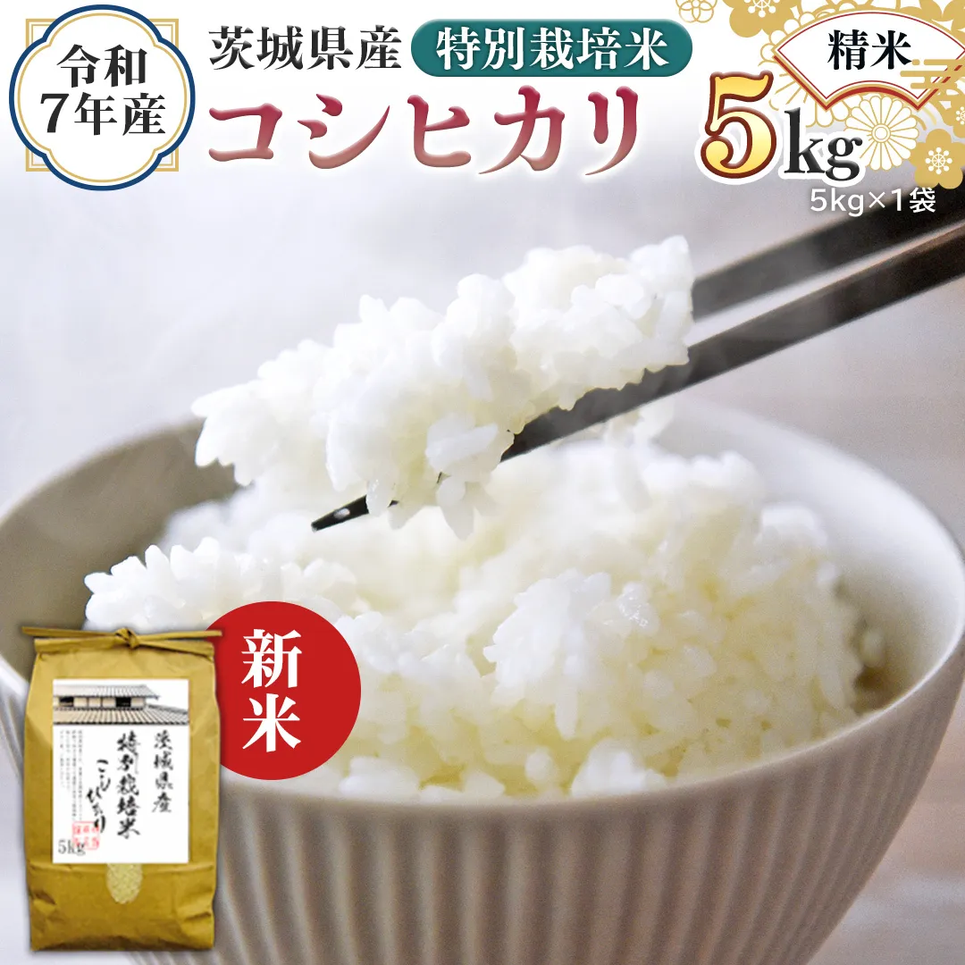 ＜ 新米 ＞ 令和7年産 茨城県産 精米 特別栽培米 コシヒカリ 5kg （5kg×1袋） 白米 こしひかり 米 コメ こめ 単一米 限定 茨城県産 国産 美味しい お米 おこめ おコメ[EH32-NT]