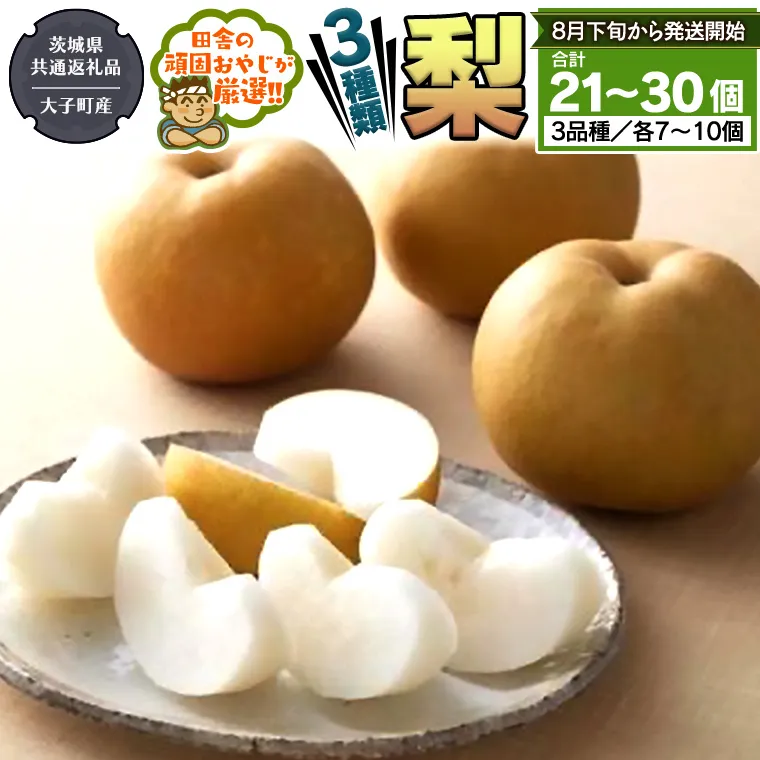 梨 3種 セット 【2026年8月下旬より発送開始】 （茨城県共通返礼品 [梨]：大子町産） 田舎の頑固おやじが厳選！ なし 果物 フルーツ 美味しい [BI334-NT]