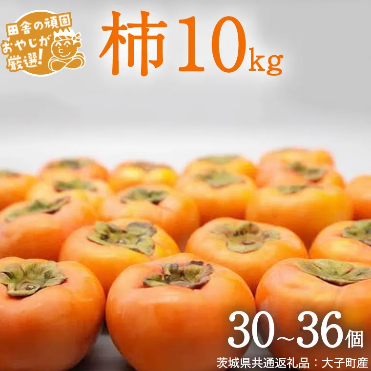 【2026年10月より発送開始】柿 10kg（30〜36個）（茨城県共通返礼品 [柿]：大子町産）柿 かき カキ 果物 フルーツ 茨城県産 [BI429-NT]