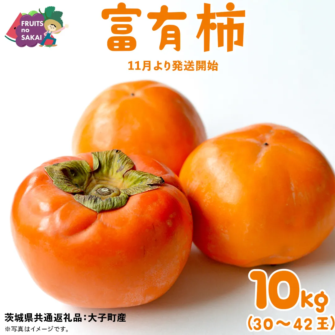 富有柿 10kg （約30～42個）【2025年11月より発送開始】（茨城県共通返礼品 [柿]：大子町産） かき 旬 お取り寄せ フルーツ 甘い 秋の味覚 [FC11-NT]