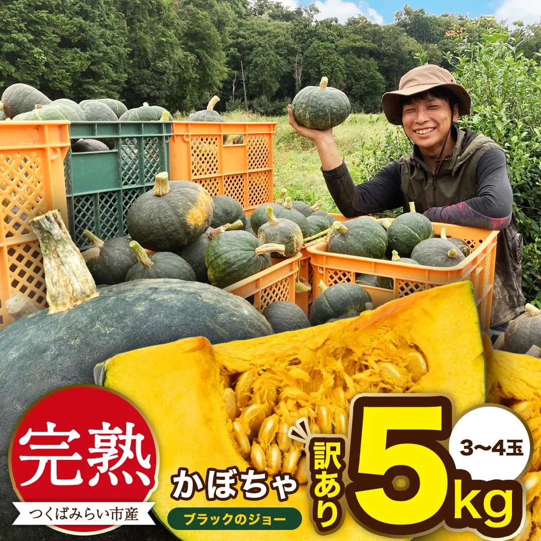 【 訳アリ 】完熟かぼちゃ ブラックのジョー 5kg（3～4玉） かぼちゃ 生かぼちゃ ほくほく ねっとり 甘い 国産 茨城県産 訳アリ お取り寄せ 野菜 国産 ［FA19-NT］