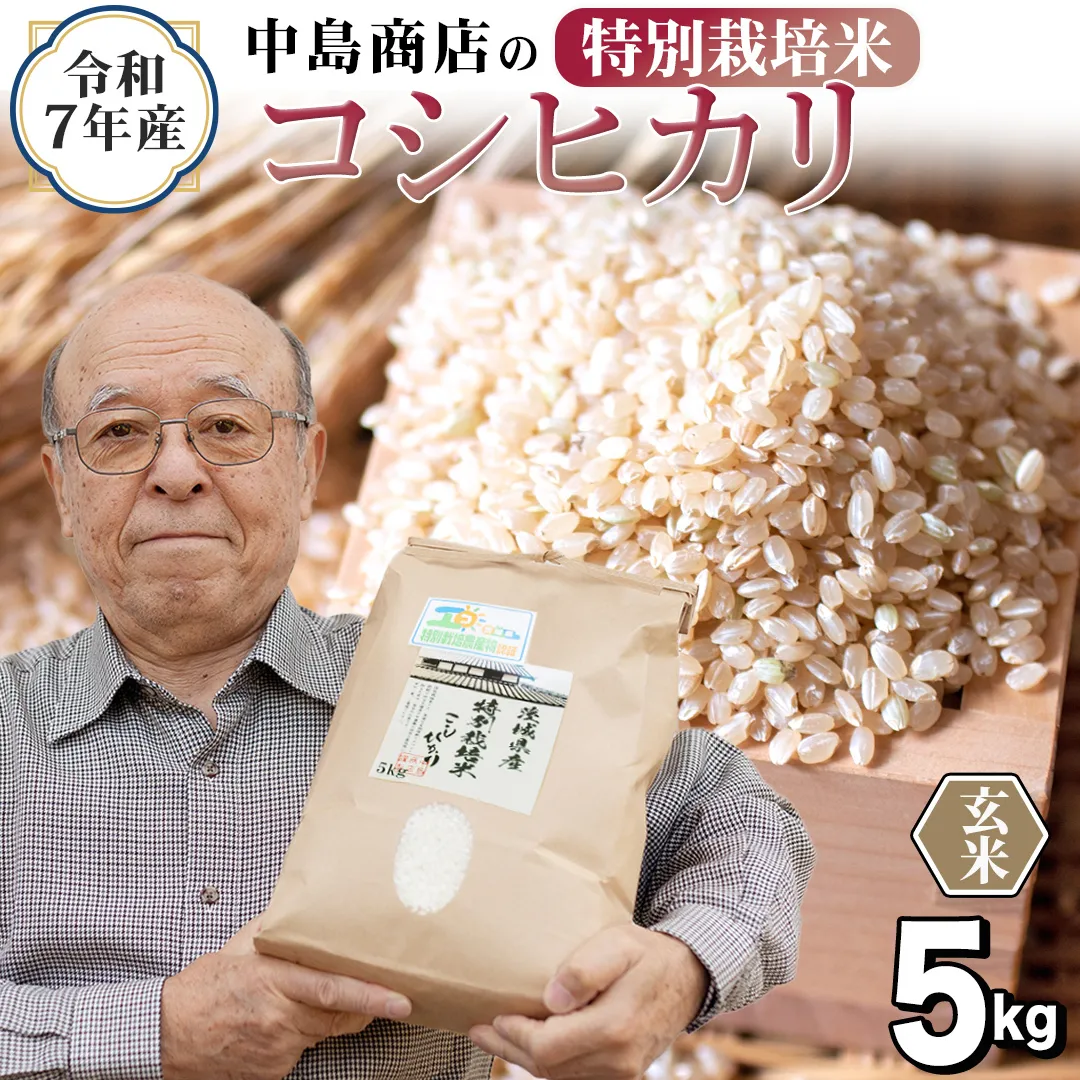 [ 新米 ] 令和7年産 茨城県産 玄米 特別栽培米 コシヒカリ 5kg (5kg×1袋) こしひかり 米 コメ こめ 単一米 限定 茨城県産 国産 美味しい お米 おこめ おコメ[EH35-NT]