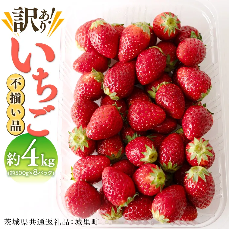 【訳あり】いちご 4kg【1月から発送開始】 （茨城県共通返礼品 [いちご]：城里町産）  いちご 苺 イチゴ 訳あり [BI370-NT]