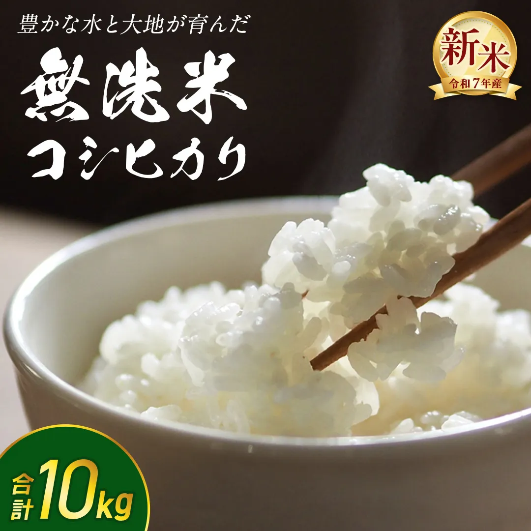 【 無洗米 】令和7年産 新米 コシヒカリ 10kg 茨城県つくばみらい市産 時短 手軽 粘り 甘み 茨城 こしひかり 令和7年 [FF02-NT]