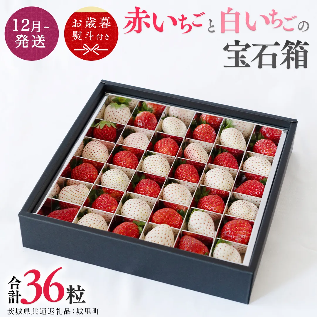 【 お歳暮 熨斗付 】赤いちごと白いちごの宝石箱 36粒【12月から発送開始】（茨城県共通返礼品 [いちご]：城里町産） いちご 苺 イチゴ 白いちご 白イチゴ 宝石箱 [BI377-NT]