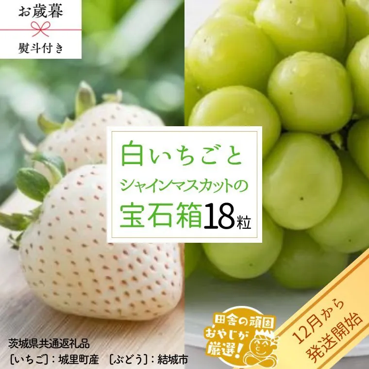 【 お歳暮 熨斗付 】 シャインマスカットと白いちごの 宝石箱 18粒【12月から発送開始】（茨城県共通返礼品 [ぶどう]：結城市　[いちご]：城里町産） いちご 苺 イチゴ 白いちご 白イチゴ シャインマスカット マスカット 宝石箱 [BI376-NT]