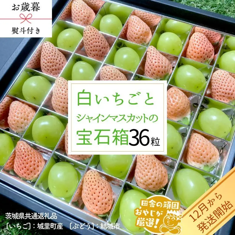 【 お歳暮 熨斗付 】シャインマスカットと白いちごの宝石箱 36粒【12月から発送開始】（茨城県共通返礼品 [ぶどう]：結城市　[いちご]：城里町産） いちご 苺 イチゴ 白いちご 白イチゴ シャインマスカット マスカット 宝石箱 [BI379-NT]