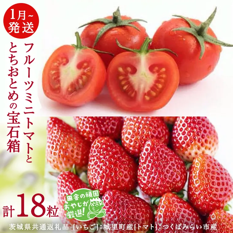 とちおとめ と フルーツミニトマトの宝石箱 18粒【1月から発送開始】（茨城県共通返礼品 [いちご]：城里町産　[トマト]：つくばみらい市産）  詰め合わせ 果物 フルーツ 茨城県産 [BI468-NT]