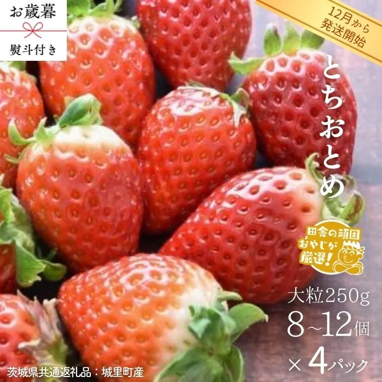 【 お歳暮 熨斗付 】 とちおとめ 〈いちご〉 大粒 250g（8～12粒）×4パック【2026年12月から発送開始】（茨城県共通返礼品 [いちご]：城里町産） いちご 苺 イチゴ とちおとめ [BI371-NT]