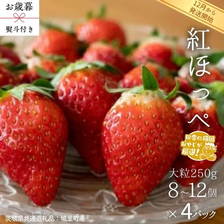 【 お歳暮 熨斗付 】紅ほっぺ〈いちご〉 大粒 250g（8～12粒）×4パック【2026年12月から発送開始】（茨城県共通返礼品 [いちご]：城里町産） いちご 苺 イチゴ 紅ほっぺ [BI372-NT]