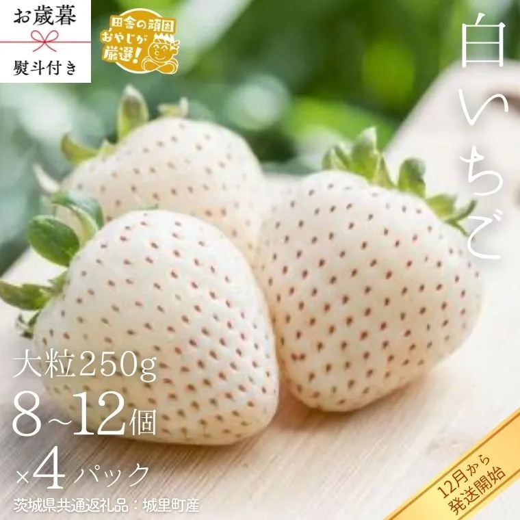 【 お歳暮 熨斗付 】白いちご大粒 250g（8～12粒）×4パック【2026年12月から発送開始】（茨城県共通返礼品 [いちご]：城里町産）いちご 苺 イチゴ 白いちご [BI374-NT]