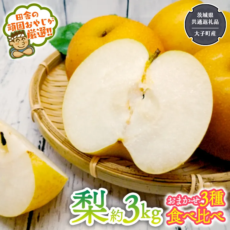 梨 食べ比べ 品種おまかせ3種類 約3kg【2026年8月より発送開始】（茨城県共通返礼品 [梨]：大子町産）田舎の頑固おやじが厳選！ 幸水 豊水 新高 南水 二十世紀 [BI124-NT]
