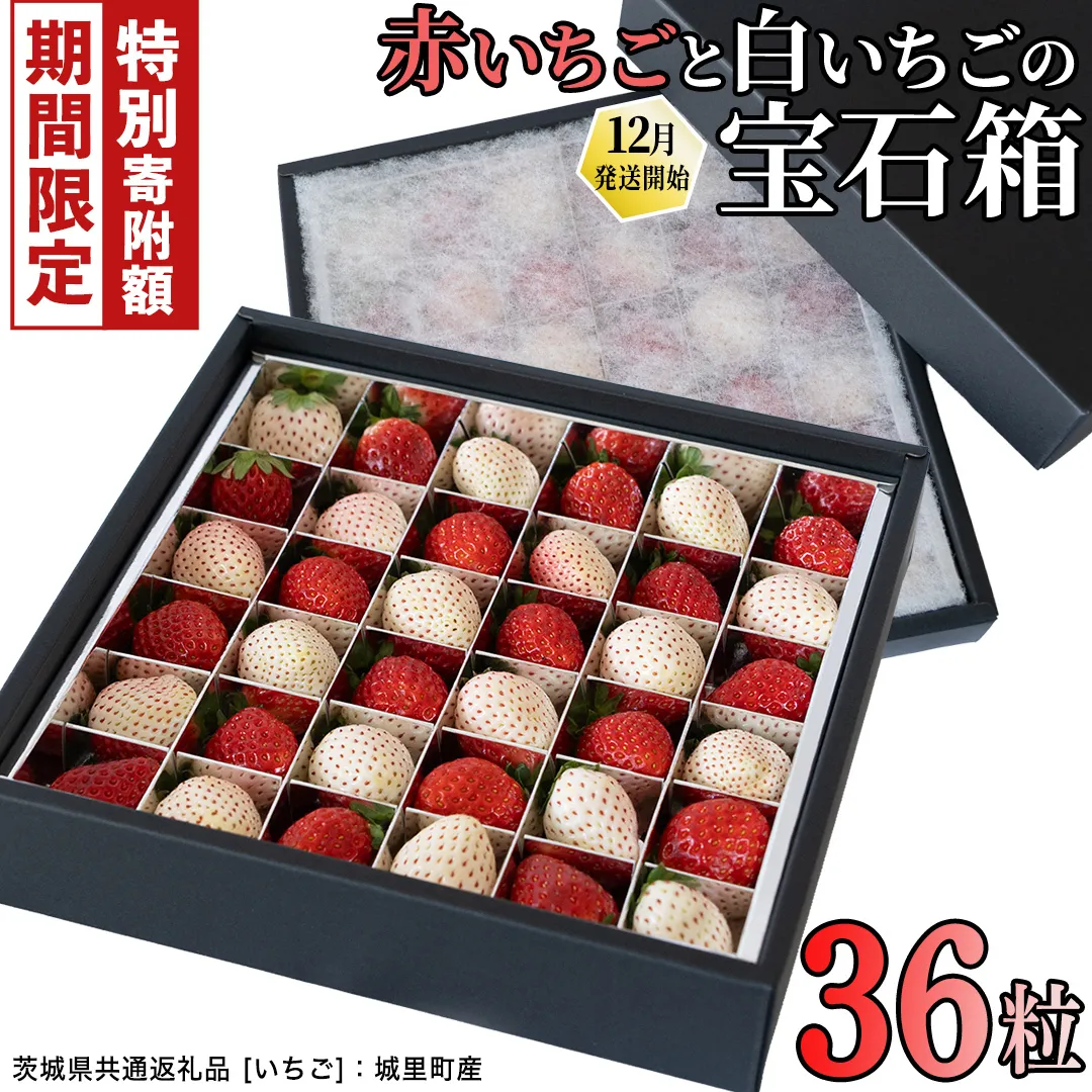 ＼ 12/31まで 期間限定 特別寄附金額! / 赤白いちごの宝石箱アソート 36粒 [2025年12月から発送開始](茨城県共通返礼品 [いちご]:城里町産) | いちご 苺 赤 イチゴ 白いちご 白イチゴ 宝石箱 [FC25-NT]