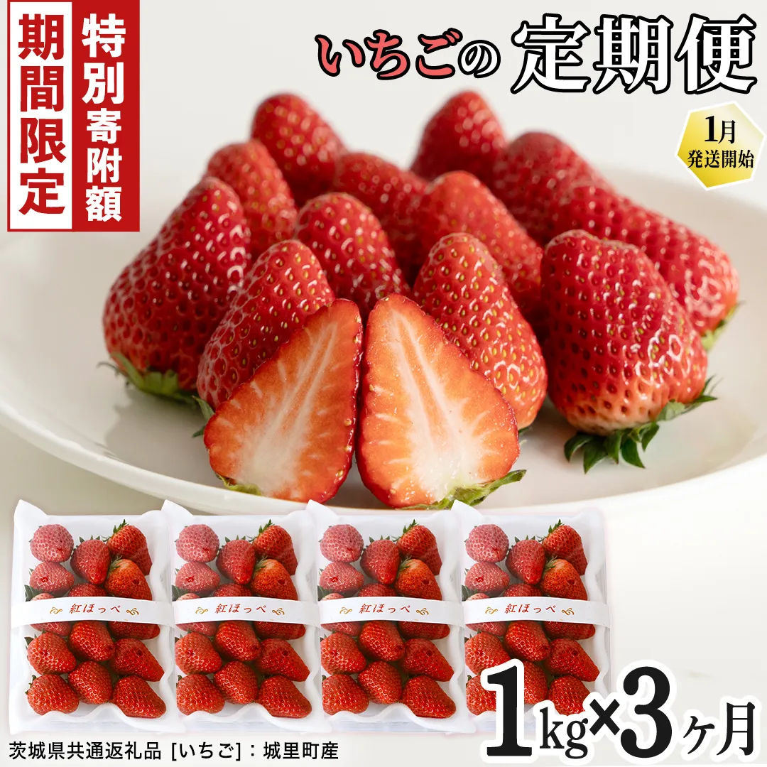 ＼ 12/31まで 期間限定 特別寄附金額! / [定期便]いちご3ヶ月連続お届け便 (250g×4パック)×3回 [2026年1月から発送開始](茨城県共通返礼品 [いちご]:城里町産) | 果物 フルーツ イチゴ 苺 白いちご とちおとめ 紅ほっぺ やよいひめ 定期便 [FC26-NT]