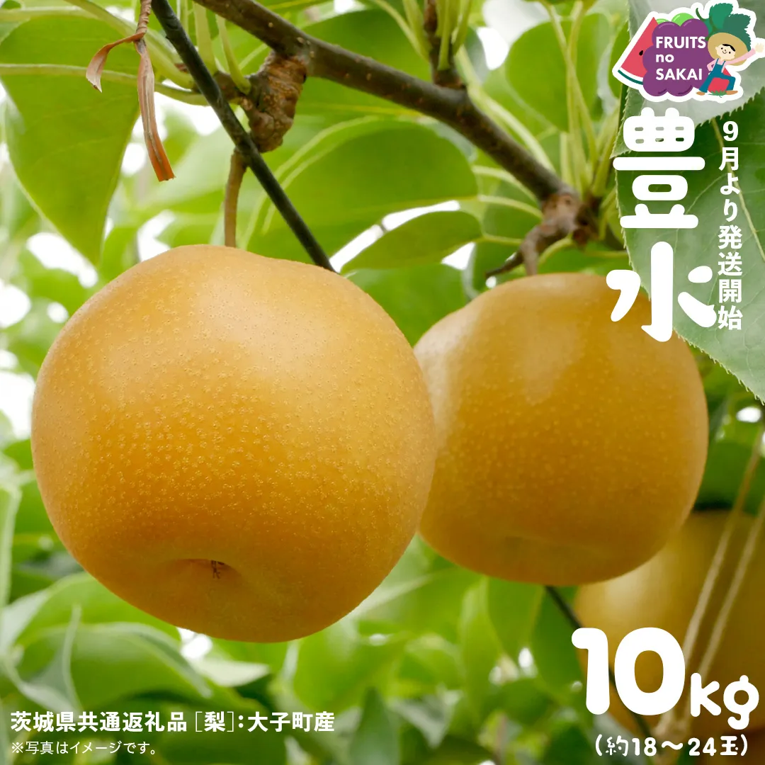 豊水 梨 10kg （18～24玉）【2026年9月より発送開始】（茨城県共通返礼品 [梨]：大子町産） なし 旬 お取り寄せ フルーツ 甘い ジューシー 和梨 時期 [FC06-NT]
