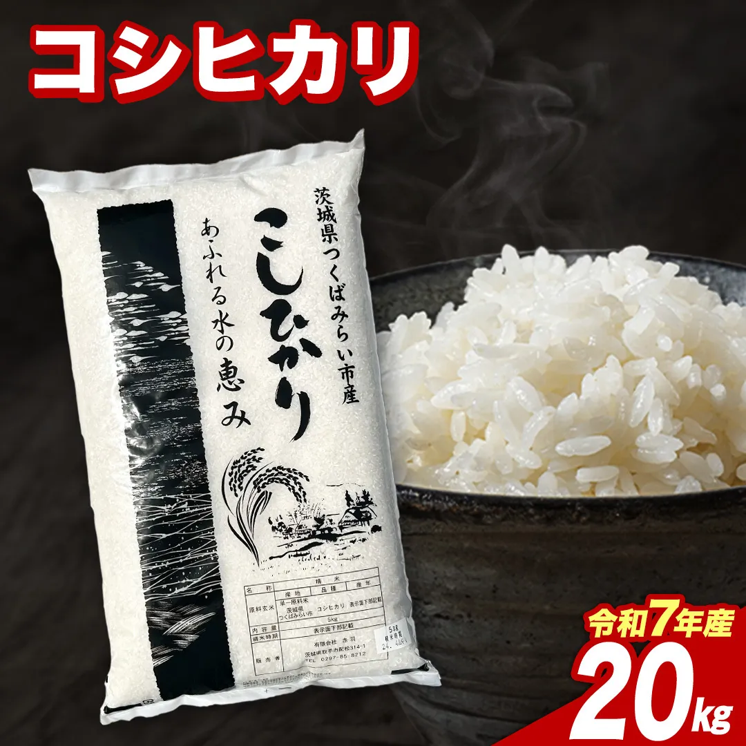 【6月下期出荷】 コシヒカリ 20kg 令和7年産 精米 【 数量限定 】茨城県つくばみらい市産 米 コメ 単一米 44000 茨城県産 国産 発送 コスパ こしひかり [CL322-NT]