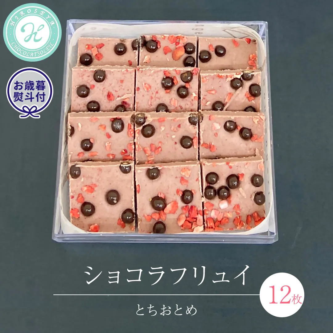 【 お歳暮 熨斗 付】 ショコラフリュイ とちおとめ 12枚 チョコレート チョコ スイーツ デザート 高級 ギフト 贈り物 お礼 プレゼント 手土産 お菓子 [DJ51-NT]