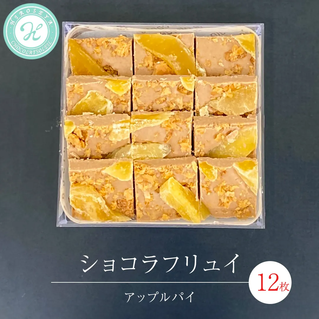 ショコラフリュイ アップルパイ 12枚 チョコレート チョコ スイーツ デザート 高級 ギフト 贈り物 お礼 プレゼント 手土産 お菓子 [DJ52-NT]