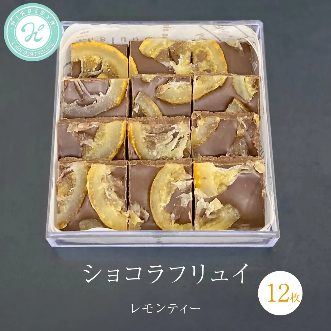ショコラフリュイ レモンティー 12枚 チョコレート チョコ スイーツ デザート 高級 ギフト 贈り物 お礼 プレゼント 手土産 お菓子 [DJ55-NT]