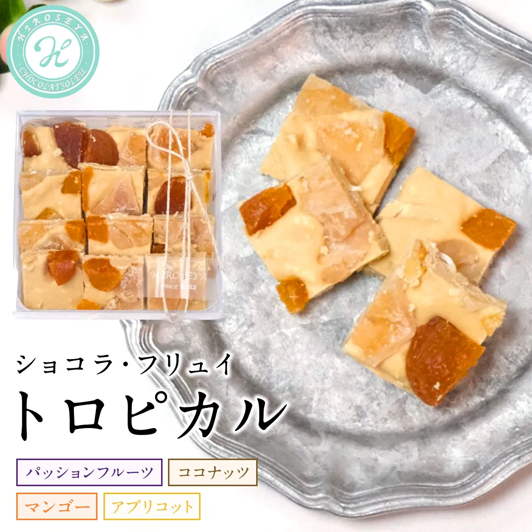 ショコラフリュイ トロピカル チョコレート チョコ スイーツ デザート 高級 ギフト 贈り物 お礼 プレゼント 手土産 お菓子 [DJ28-NT]