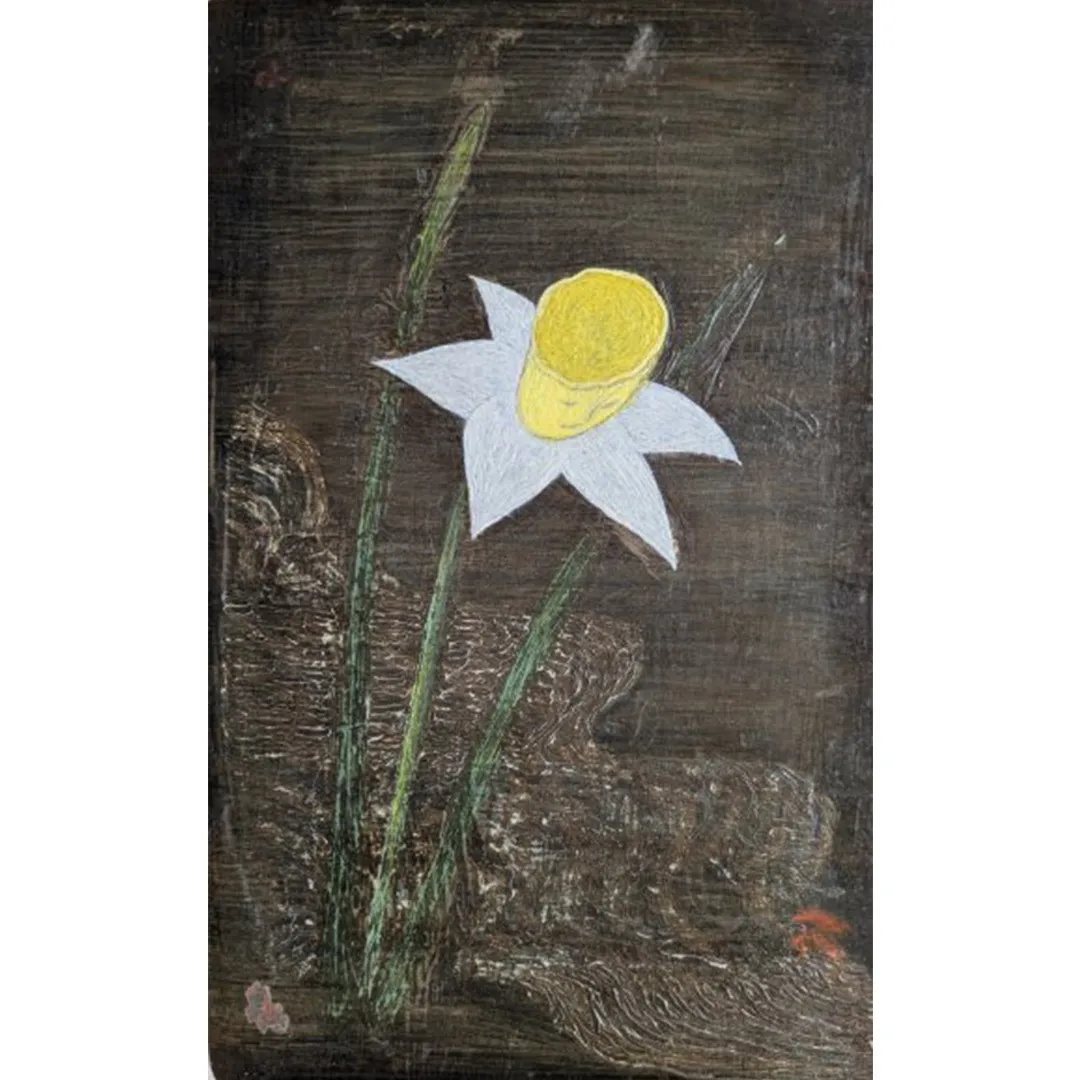 【 限定１点 】水仙 [BG119-NT]