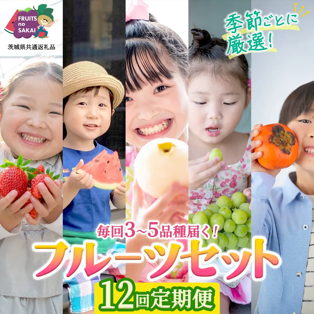 【定期便】フルーツセット（12回定期）（茨城県共通返礼品） 茨城県 県産 つくばみらい市 人気 厳選 果物 くだもの 旬 旬の果物 旬のフルーツ 上級品 極上 贅沢 極み フルーツ フルーツセット ギフト プレゼント