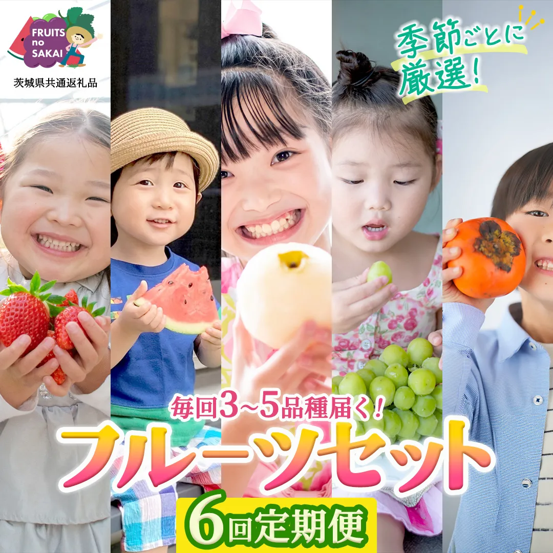 【定期便】フルーツセット（6回定期）（茨城県共通返礼品） 茨城県 県産 つくばみらい市 人気 厳選 果物 くだもの 旬 旬の果物 旬のフルーツ 上級品 極上 贅沢 極み フルーツ フルーツセット ギフト プレゼント