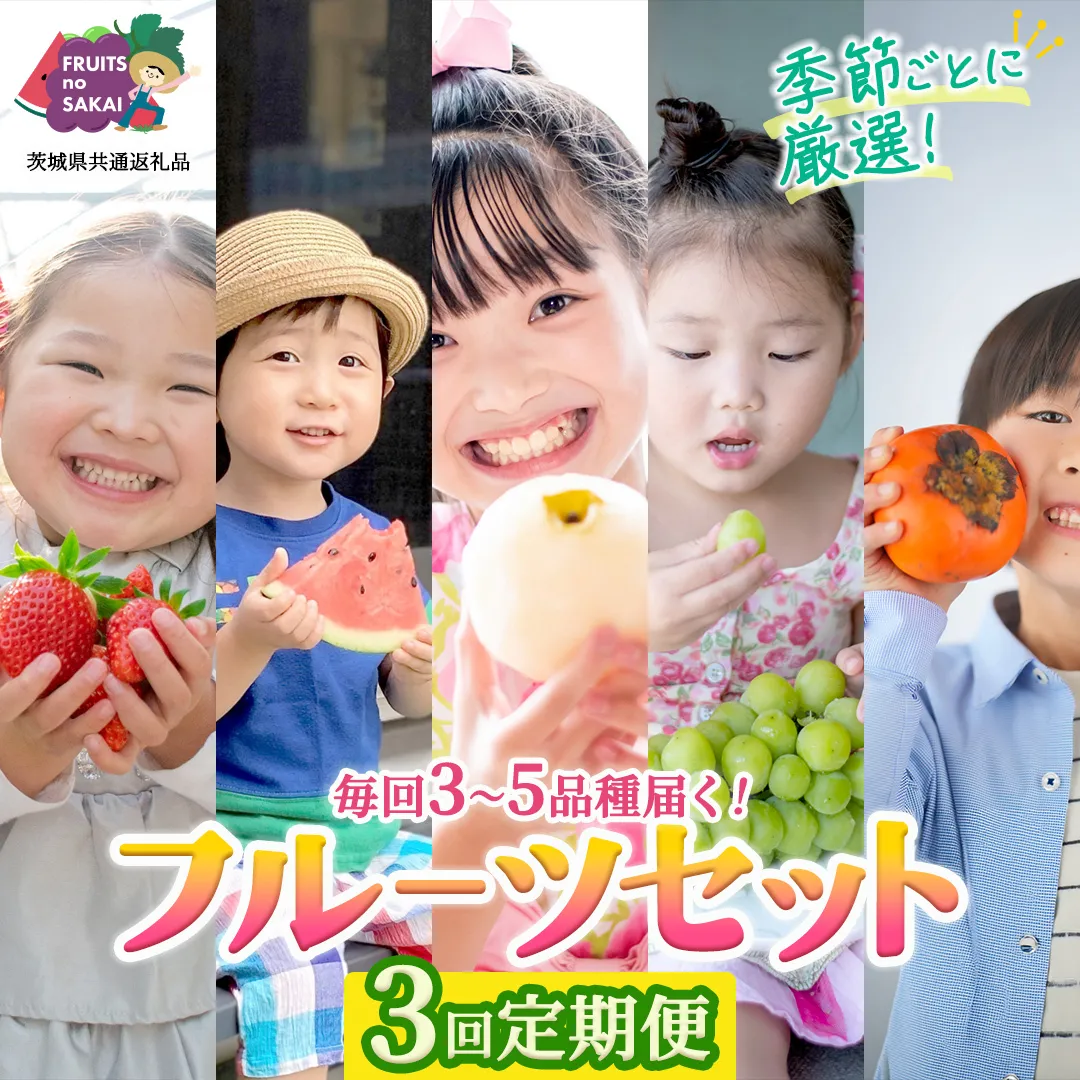 【定期便】フルーツセット（3回定期）（茨城県共通返礼品） 茨城県 県産 つくばみらい市 人気 厳選 果物 くだもの 旬 旬の果物 旬のフルーツ 上級品 極上 贅沢 極み フルーツ フルーツセット ギフト プレゼント