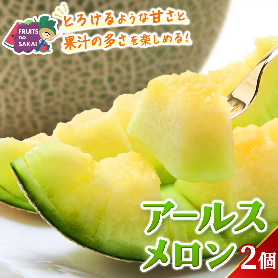 アールスメロン 2玉 メロン ギフト 高糖度 甘い 美味しい フルーツ 誕生日 プレゼント ギフト 贈り物 父の日 母の日 2個 [FC34-NT]