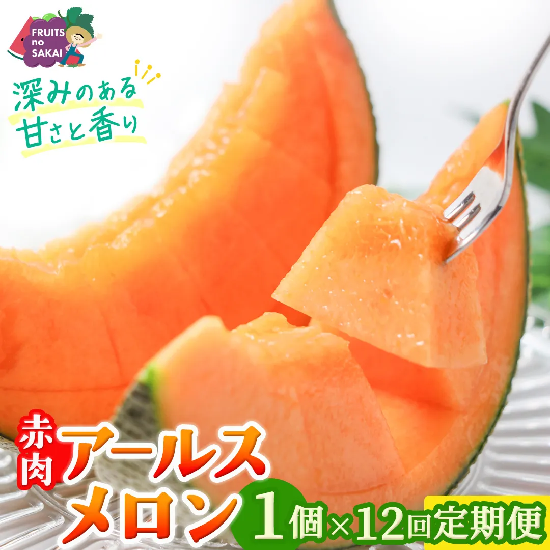 【定期便】 赤肉アールスメロン 1玉 × 12か月連続 アールスメロン 赤肉 高糖度 甘い フルーツ 誕生日 プレゼント ギフト 贈り物 父の日 母の日 1個 [FC38-NT]