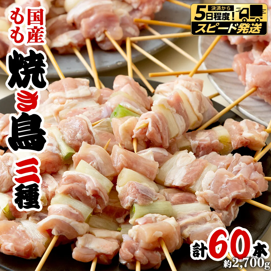 【 スピード 発送 】1本45g！合計約2700g！大満足の 国産鶏 焼き鳥 モモ 3種60本 セット （各20本入り）  焼鳥 鶏肉 おかず おつまみ [AI10-NT]