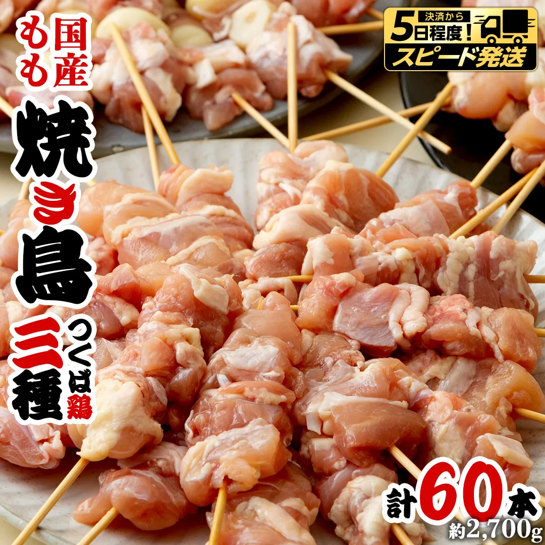 【 スピード 発送 】1本45g！合計約2700g！食べ応えバツグン、つくば鶏 焼き鳥 モモ 3種60本 セット （各20本入り） 焼鳥 鶏肉 おかず おつまみ [AI11-NT]