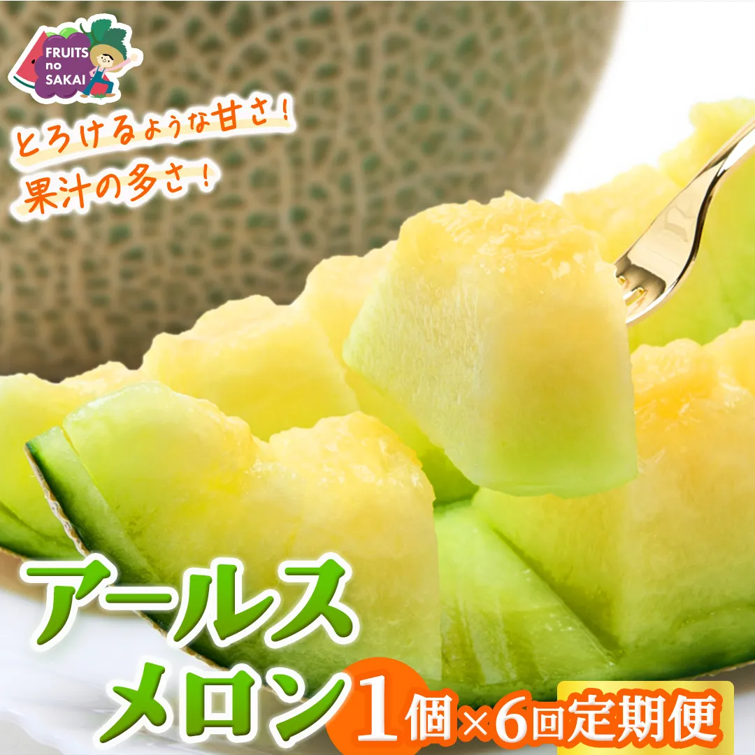 【定期便】 アールスメロン 1玉 × 6か月連続 メロン ギフト 高糖度 甘い 美味しい フルーツ 誕生日 プレゼント ギフト 贈り物 父の日 母の日 1個 [FC46-NT]